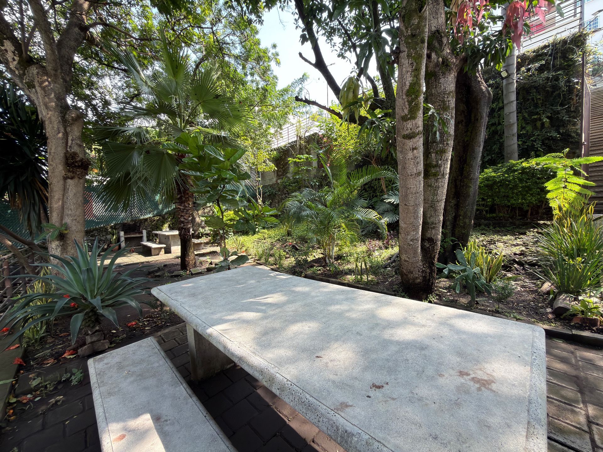 Departamento en Venta en el Centro de Cuernavaca — foto 7